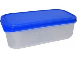Plastový box FRESH 1000 ml,  25x12x6 cm