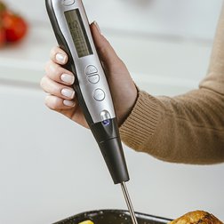 Digitální kuchyňský teploměr Nava Acer + náhradní vidlice 37,4 cm
