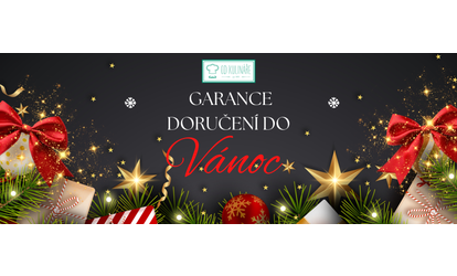 Garance doručení do Vánoc: kdy objednat, aby dárek dorazil včas?