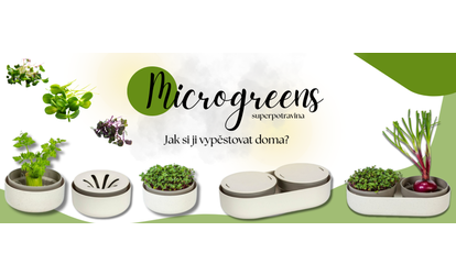 Microgreens: Superpotravina z parapetu a jak si ji vypěstovat doma