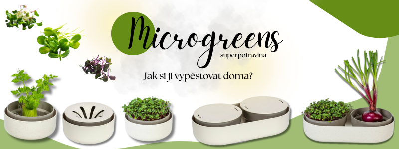Microgreens: Superpotravina z parapetu a jak si ji vypěstovat doma