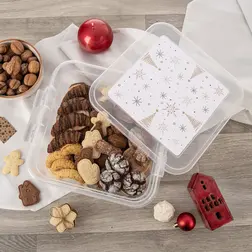 Plastová dóza s víkem Orion Vločka 4,5 l