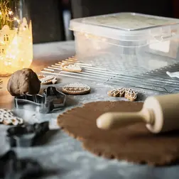 Plastová dóza s víkem Orion Vločka 4,5 l