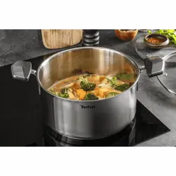 Kastrol s poklicí Tefal Emotion+ 24 cm 5,4 l