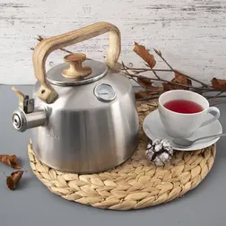 Nerezový čajník Orion s píšťalkou a teploměrem 3,2 l