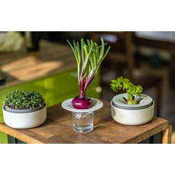 Regrow Plastia slonová kost 16x7,7 cm