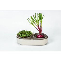 Velká farma Plastia Microgreens+Regrow klíčící miska slonová kost