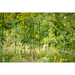 Opora pro pěstování Berberis