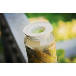 Opora pro pěstování Berberis