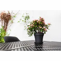 Květináč Camelie antracit 23 cm